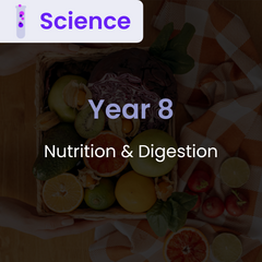 Biology: Nutrition and Digestion (Year 8)